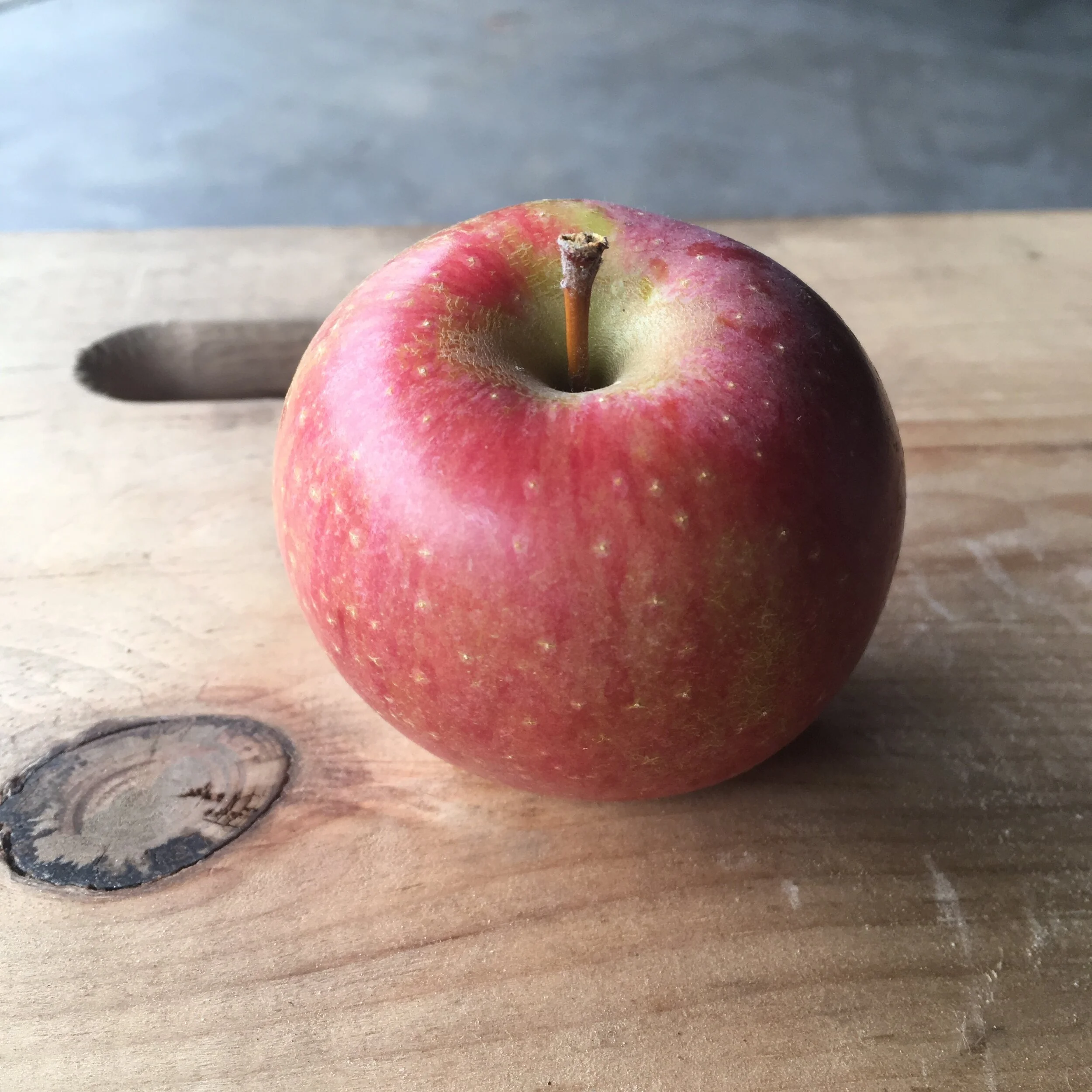 Westfield Seek-No-Further — Scott Farm Orchard